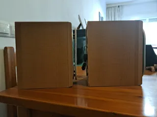 Pareja Altavoces Sony SS-CCP101 Madera