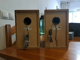Pareja Altavoces Sony SS-CCP101 Madera