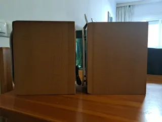 Pareja Altavoces Sony SS-CCP101 Madera