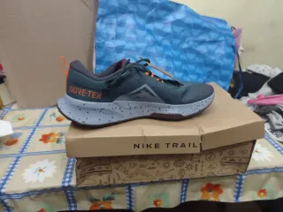 Zapatillas Nike Trail GORE-TEX Grises/Verdes