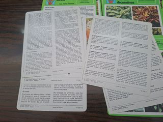 21 Fichas Jardinería y Plantas