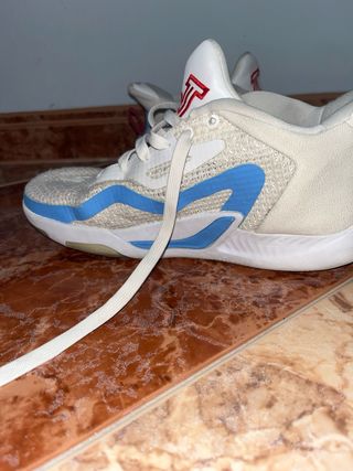 zapatillas de baloncesto Jordan