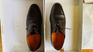 Zapatos Scalpers Marrones Elegantes Hombre
