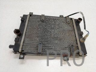 Radiador Agua Kymco Xciting