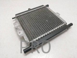 Radiador Agua Peugeot Satelis