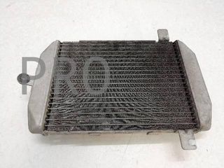 Radiador Agua Suzuki Burgman