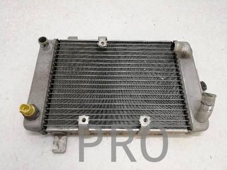 Radiador Agua Suzuki Burgman