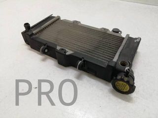 Radiador Agua Kymco Venox