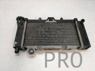 Radiador Agua Kymco Venox