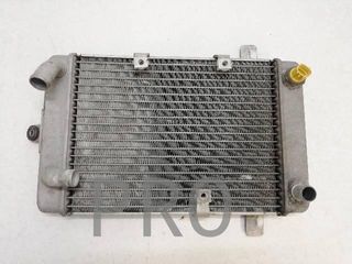 Radiador Agua Suzuki Burgman