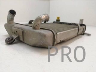 Radiador Agua Suzuki Burgman