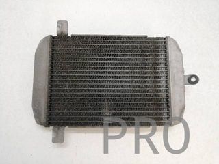 Radiador Agua Suzuki Burgman