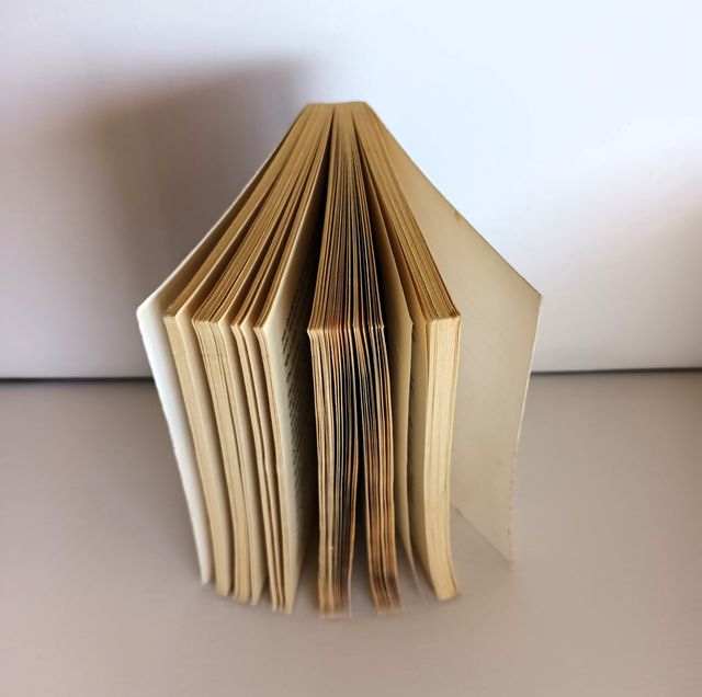 New Cardiff (English Edition) INGLÉS