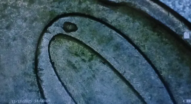 Moneta 20 centesimi Spagna 1999 con errore