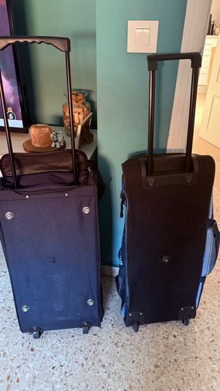 Bolsas de viaje con ruedas (20kg)
