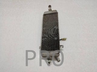 Radiador Agua Suzuki Burgman