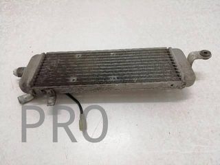 Radiador Agua Suzuki Burgman