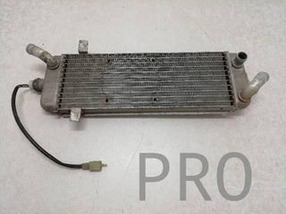 Radiador Agua Suzuki Burgman