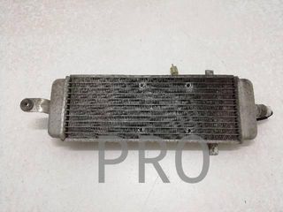 Radiador Agua Suzuki Burgman