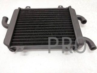 Radiador Agua Peugeot Speedfight