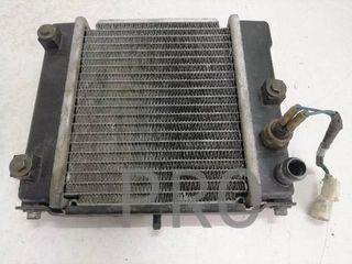 Radiador Agua Kymco People