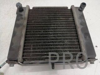 Radiador Agua Kymco People