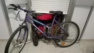 Bicicleta Morada
