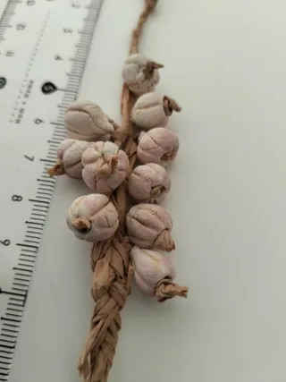 Ristra de ajos belén