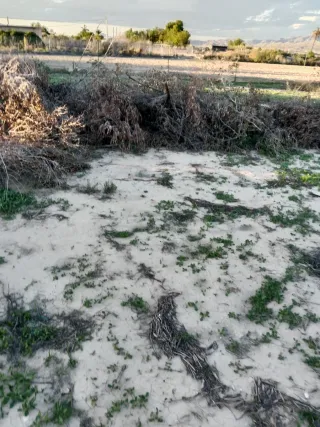 Parcelas en Aspe totalmente vallada