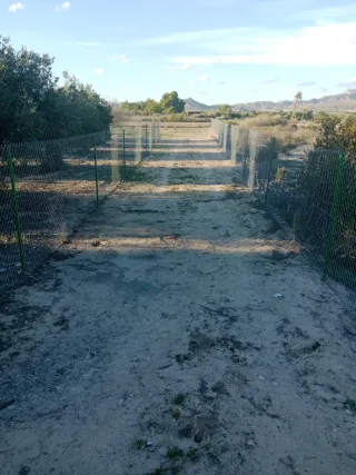 Parcelas en Aspe totalmente vallada