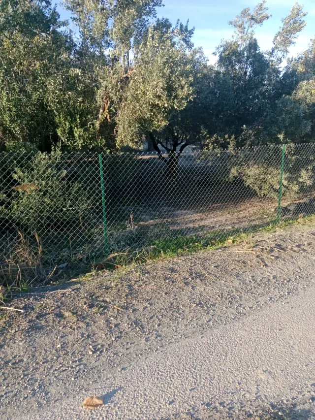 Parcelas en Aspe totalmente vallada