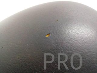 Asiento Piloto Suzuki Burgman