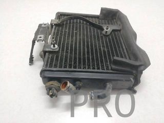 Radiador Agua Aprilia Leonardo