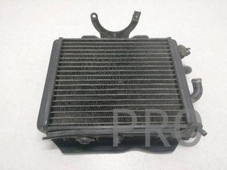 Radiador Agua Aprilia Leonardo