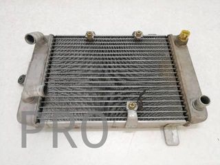 Radiador Agua Suzuki Burgman