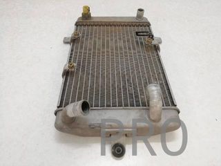 Radiador Agua Suzuki Burgman