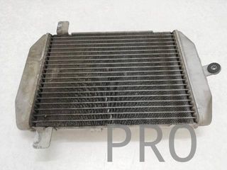 Radiador Agua Suzuki Burgman