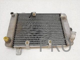 Radiador Agua Suzuki Burgman