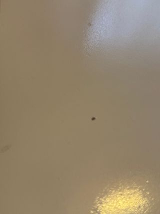 Mesa comedor extensible Ikea blanca