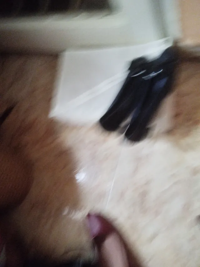 Zapatos de tacón con lazo azul marino