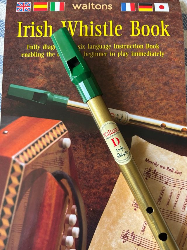 Tin Whistle Irlandés y Libro Instrucción Waltons