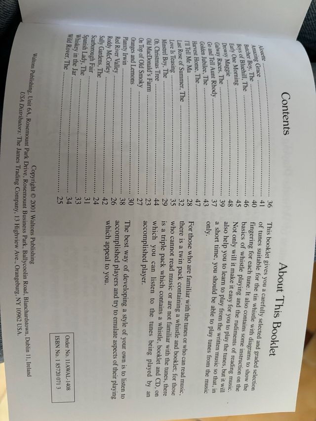 Tin Whistle Irlandés y Libro Instrucción Waltons