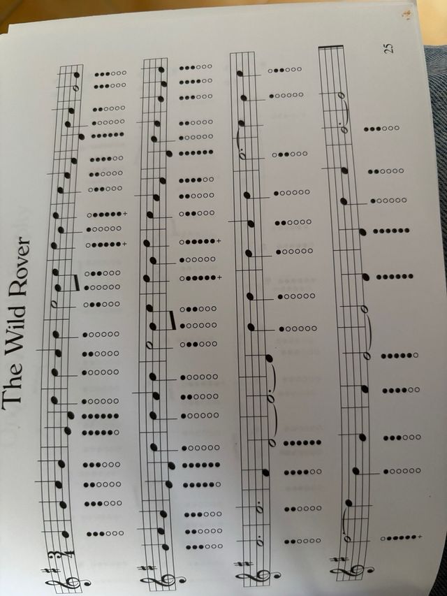 Tin Whistle Irlandés y Libro Instrucción Waltons