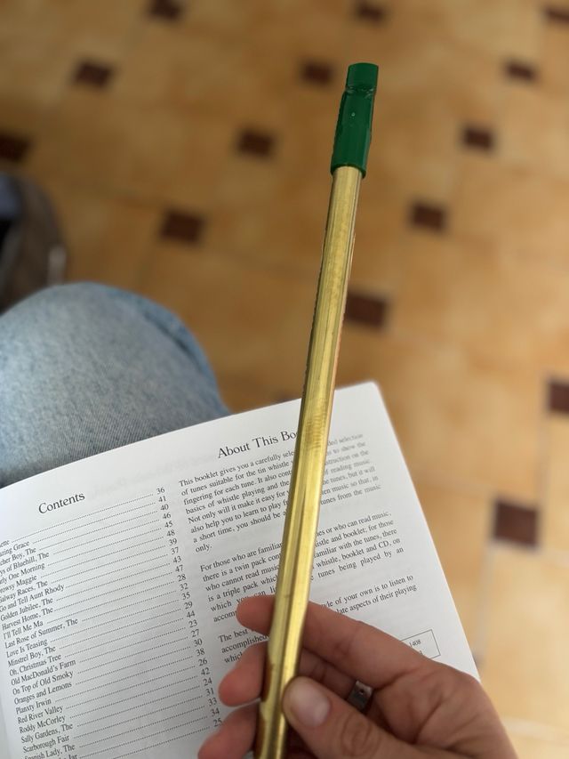 Tin Whistle Irlandés y Libro Instrucción Waltons