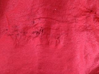 Copri sedie renna natalizia