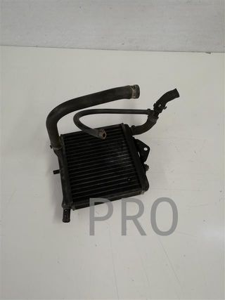 Radiador Agua Aprilia RS