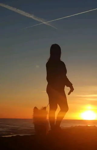 Paseo perros🐶 Cuido de tu mejor amigo🐾