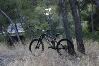 Trek Remedy 8 2024 Exclusiva Brillos