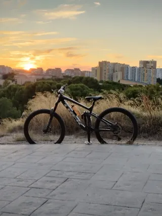 Trek Remedy 8 2024 Exclusiva Brillos