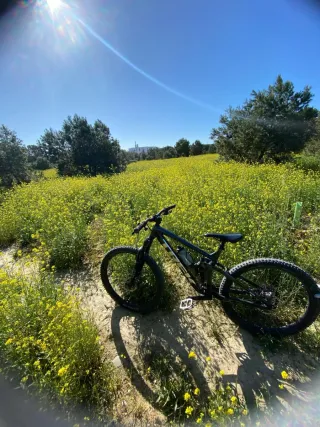 Trek Remedy 8 2024 Exclusiva Brillos